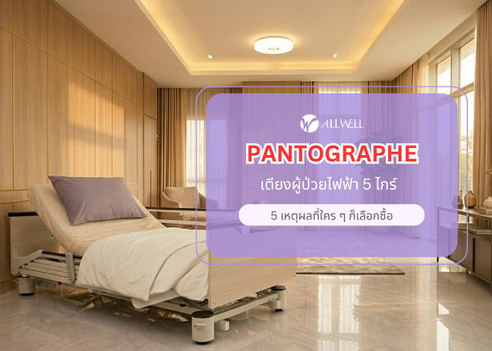 เตียง ALLWELL รุ่น Pantographe